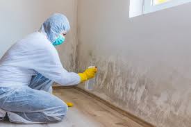 Best Biohazard Mold Removal  in Winsted, MN