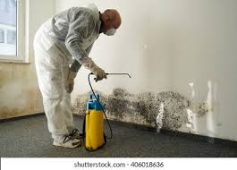 Best Industrial Mold Remediation  in Winsted, MN